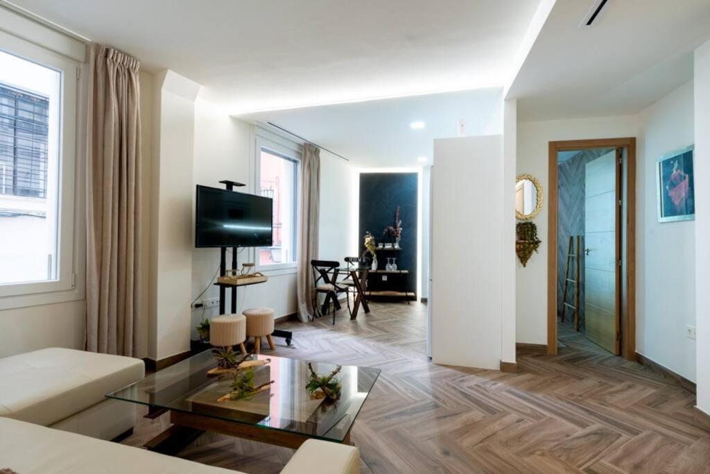 Murillo Fantastic Apartment Downtown Sevilla Seville